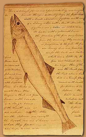 Fish in Lewis and Clark Journals